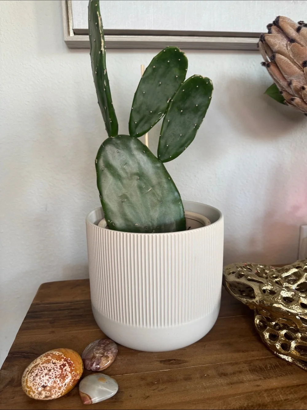 IKEA Cream Ribbed Ceramic Planter